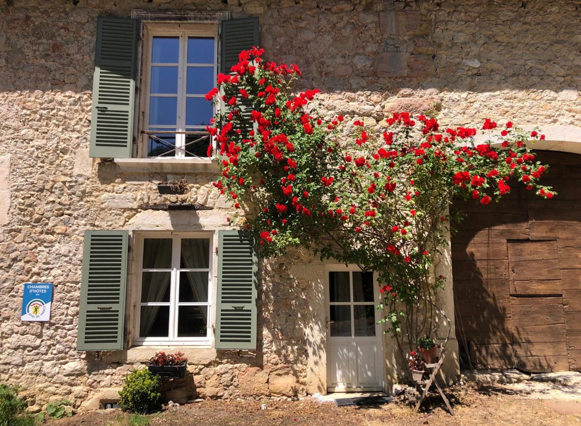 Domaine Du Tres-Haut - Chateau De Montanges Exterior foto